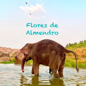 Lugar Mágico